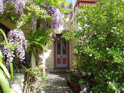 Wild Garden