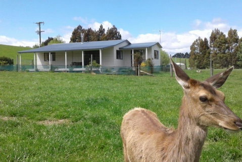 Wilderness Cottage - Accommodation New Zealand 0