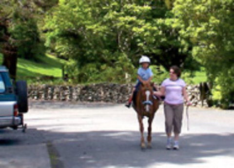 Wellington's Kiwi Holiday Park - Accommodation New Zealand 3