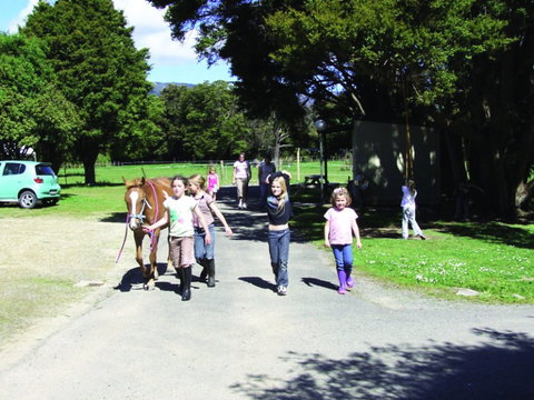 Wellington's Kiwi Holiday Park - Accommodation New Zealand 4