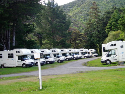 Wellington's Kiwi Holiday Park - Accommodation New Zealand 9