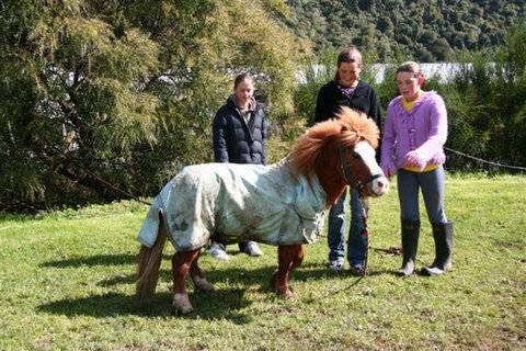 Wellington's Kiwi Holiday Park - Accommodation New Zealand 5