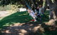 Martins Bay Holiday Park - thumb 8