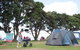Martins Bay Holiday Park - thumb 31