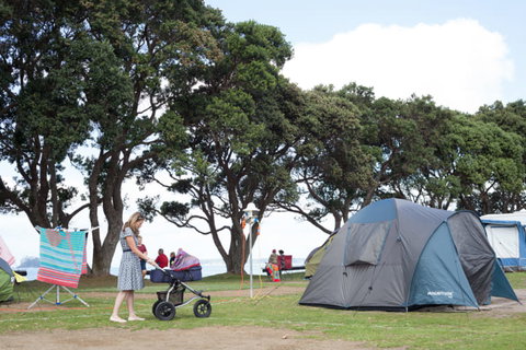 Martins Bay Holiday Park - Accommodation New Zealand 31