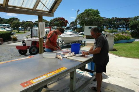 Martins Bay Holiday Park - Accommodation New Zealand 1