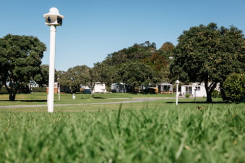Martins Bay Holiday Park - Accommodation New Zealand 6