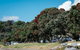 Martins Bay Holiday Park - thumb 22