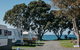 Martins Bay Holiday Park - thumb 16