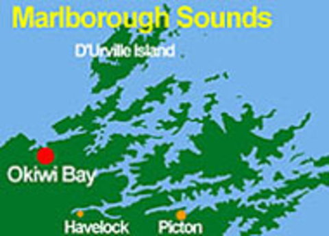 Okiwi Bay Holiday Park & Convenience Store - Accommodation New Zealand 1