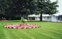 The Redwood