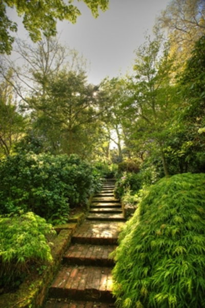 Eastwoodhill Arboretum