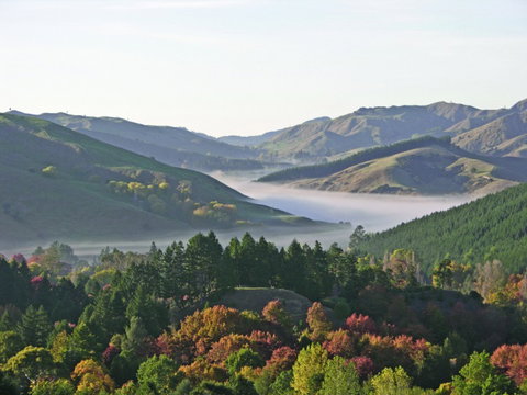 Eastwoodhill Arboretum - Accommodation New Zealand 4