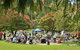 Eastwoodhill Arboretum - thumb 8