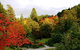 Eastwoodhill Arboretum - thumb 7
