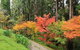 Eastwoodhill Arboretum - thumb 6