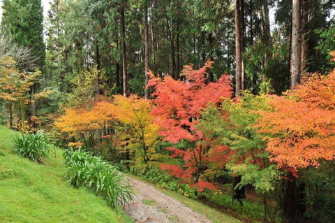 Eastwoodhill Arboretum - Accommodation New Zealand 6