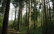 Eastwoodhill Arboretum - thumb 5