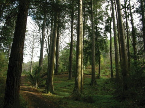 Eastwoodhill Arboretum - Accommodation New Zealand 5