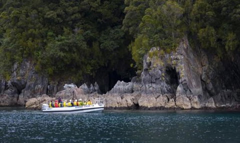 Real Journeys Milford Sound Overnight Cruises - Accommodation New Zealand 6