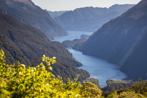 Doubtful Sound Overnight Cruises - Real Journeys - Accommodation New Zealand 13