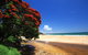 Doubtless Bay Villas - thumb 7