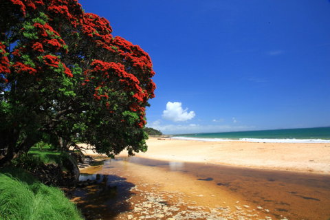 Doubtless Bay Villas - Accommodation New Zealand 7