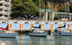 Copthorne Hotel Wellington, Oriental Bay - thumb 17