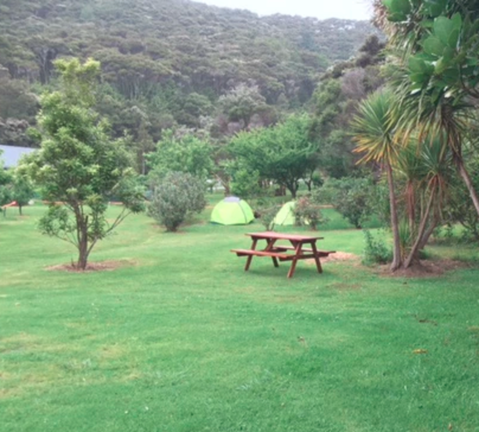 Bay Of Islands Campervan Park - Accommodation New Zealand 14