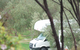Bay Of Islands Campervan Park - thumb 9