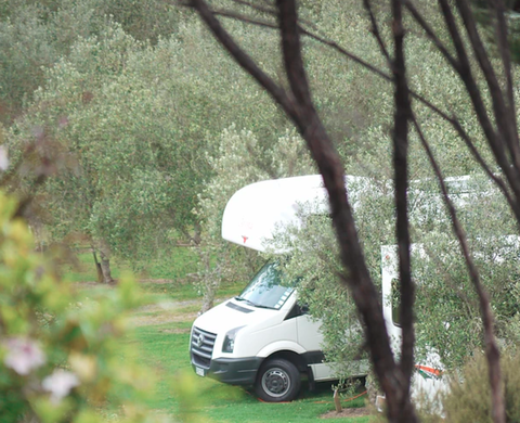 Bay Of Islands Campervan Park - Accommodation New Zealand 9