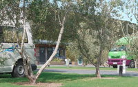 Bay of Islands Campervan Park