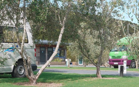 Bay Of Islands Campervan Park - Accommodation New Zealand 0