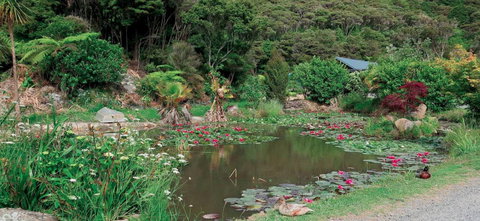 Bay Of Islands Campervan Park - Accommodation New Zealand 3