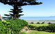 Paekakariki Beachfront Bed & Breakfast - thumb 10