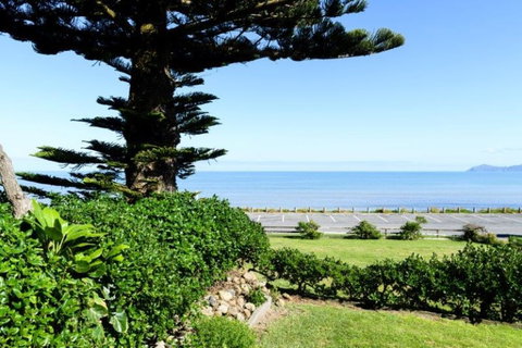 Paekakariki Beachfront Bed & Breakfast - Accommodation New Zealand 10