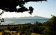 Paekakariki Beachfront Bed & Breakfast - thumb 8