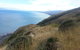 Paekakariki Beachfront Bed & Breakfast - thumb 6