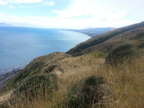 Paekakariki Beachfront Bed & Breakfast - Accommodation New Zealand 6