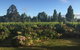 The Crib On Legacy Vineyard - thumb 1