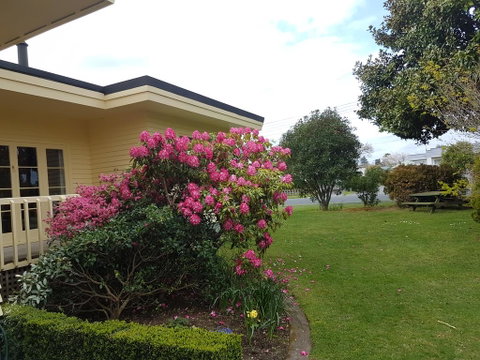 59 Chaucer Apartment - Accommodation New Zealand 0