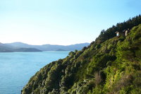 Akaroa Coastal Studio