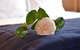 Akaroa Cottages Woodside - Akaroa Holiday Cottage - thumb 1