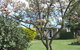 Alexandra Garden Court Motel - thumb 2