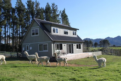 Alpaca Farm Retreat