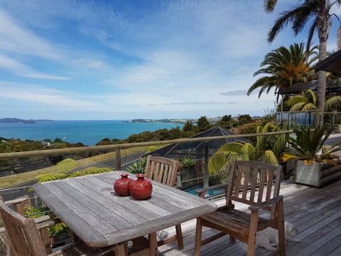 Amazing View Kotare Lodge - Accommodation New Zealand 2