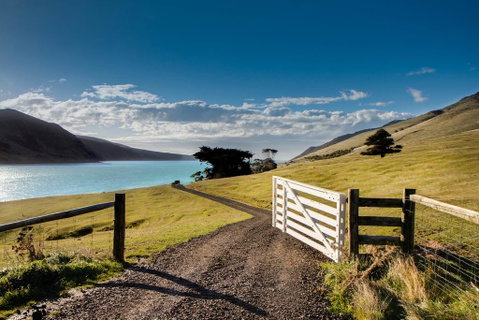 Annandale Coastal Farm Escape & Luxury Villa Collection - Accommodation New Zealand 3