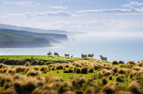 Annandale Coastal Farm Escape & Luxury Villa Collection - Accommodation New Zealand 2