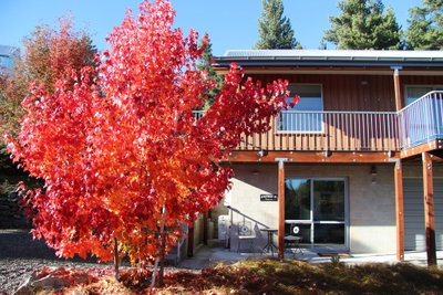 Apartment At Mapleview