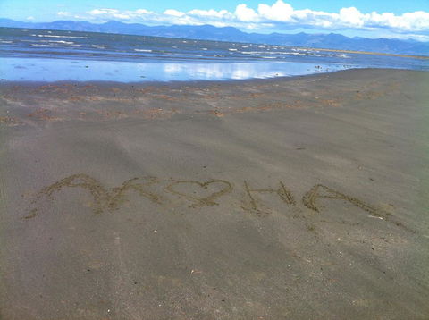 Aroha Cottage - Accommodation New Zealand 0